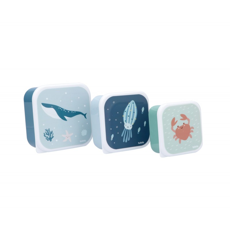 PACK 3 CAIXAS ALIMENTOS OCEAN