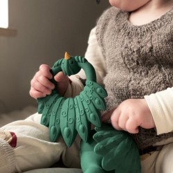 MORDEDOR PAVÃO VERDE NATRUBA 0m+