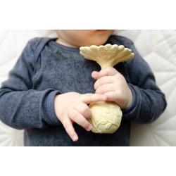 GUIZO / MORDEDOR DAISY AMARELO NATRUBA 0m+